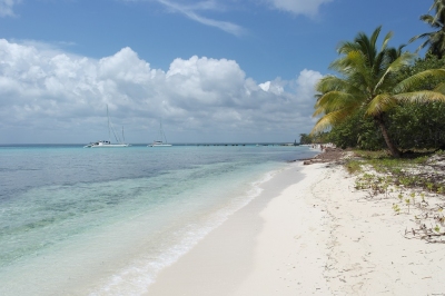 Isla Saona in der Dominikanischen Republik (Alexander Mirschel)  Copyright 
Información sobre la licencia en 'Verificación de las fuentes de la imagen'